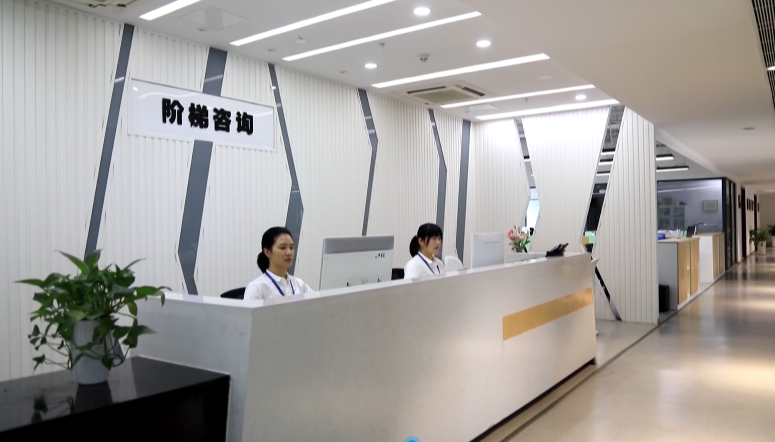 市政府质量奖企业风采②|阶梯项目咨询 高品质服务助力项目“腾飞”